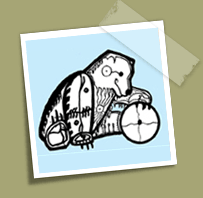 aboutspiritbear